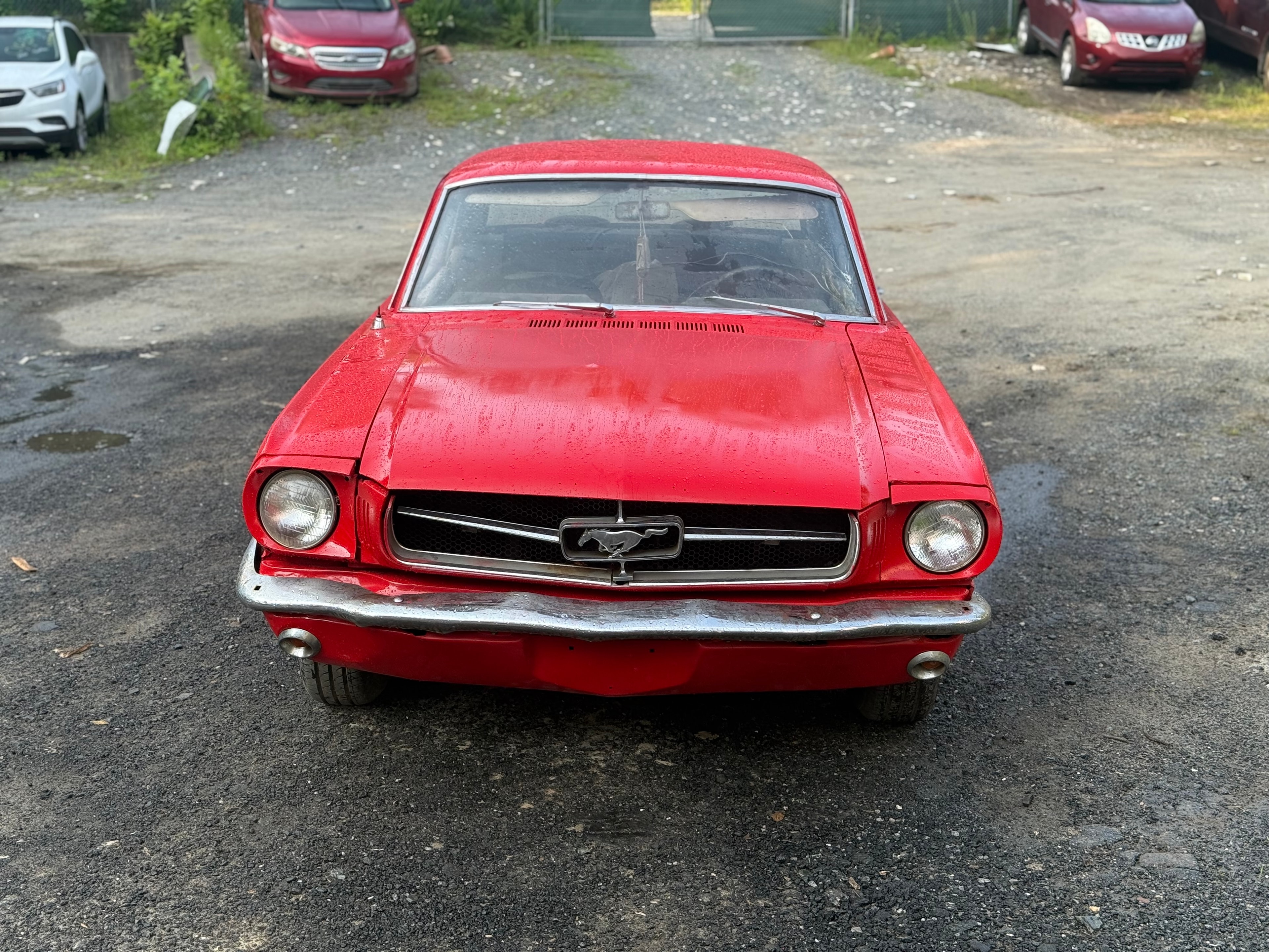 64’ Ford Mustang photo 10