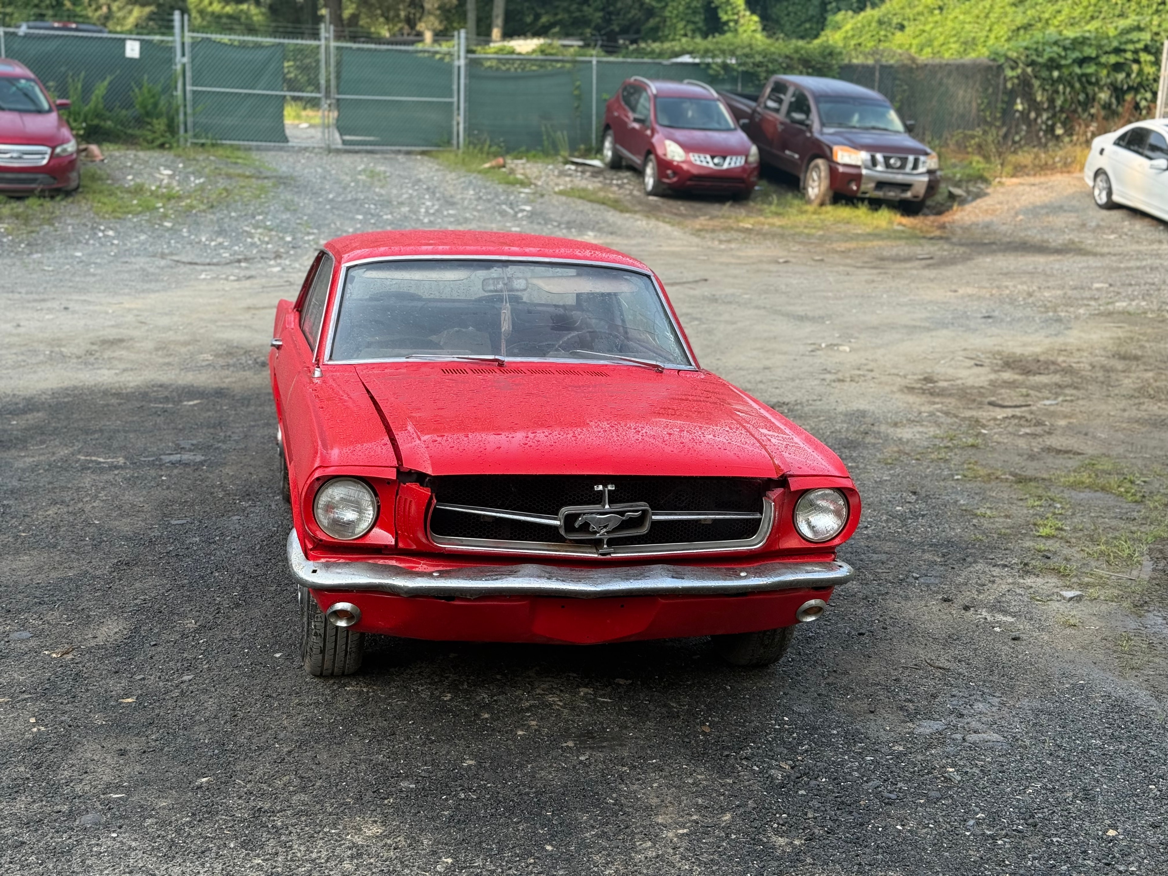 64’ Ford Mustang photo 8