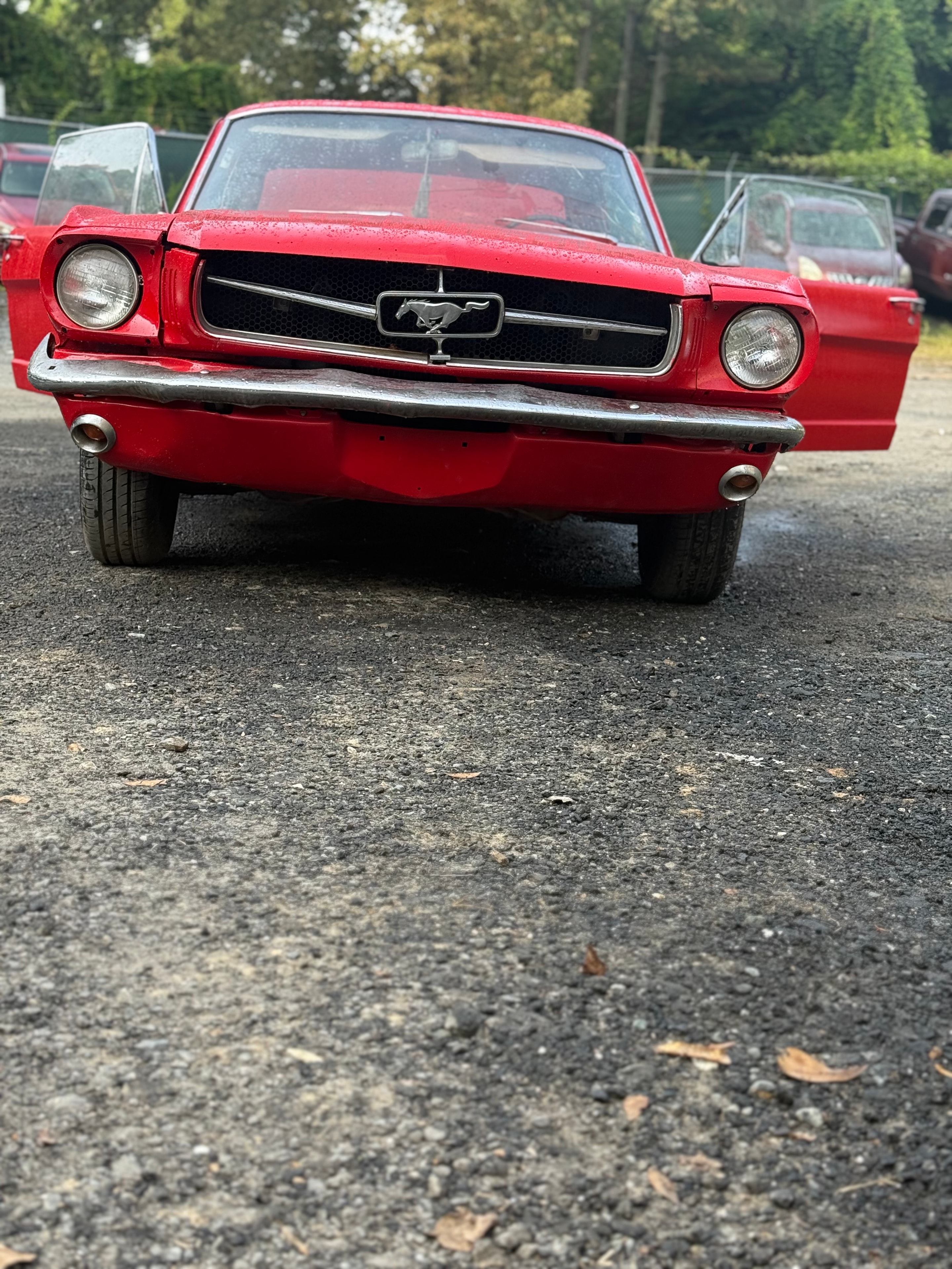 64’ Ford Mustang photo 9